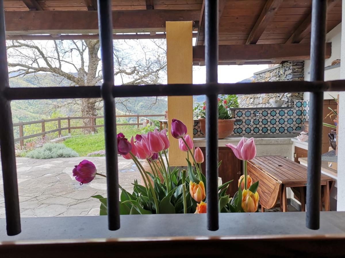 Elsa House Bed & Breakfast Mezzanego ภายนอก รูปภาพ